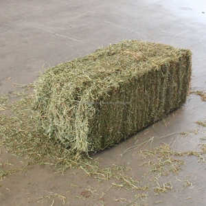Vendedores internacionales, heno de alfalfa para caballos, ganado, cerdo, alimentación de animales, fardos/bolsas de embalaje - Product Image 5