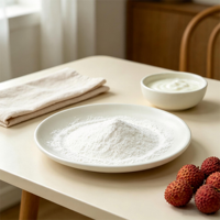 Sterk geurend instant lychee-sappoeder, snel oplosbaar lychee-poeder voor dranken