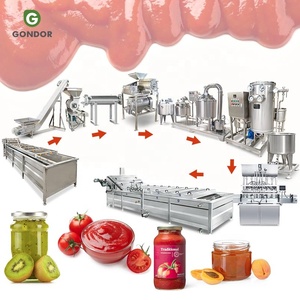Ligne de production de pâte de tomate et de ketchup - Product Image 1