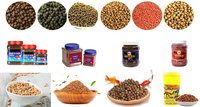 Nouvelle machine de fabrication d'aliments pour animaux de compagnie, extrudeuse de 2 mm de diamètre pour aliments pour oiseaux, poissons, chats et chiens, ligne de production pour extrudeuse d'aliments pour chats et chiens