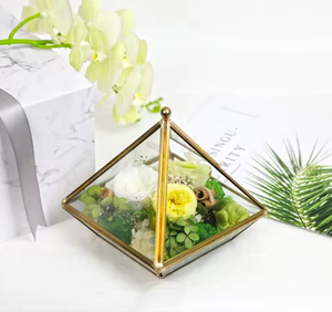 Mini verre géométrique moderne + support de jardinière en métal présentoir de plantes de fougère d'air pour <span class=keywords><strong>la</strong></span> maison, le bureau et <span class=keywords><strong>la</strong></span> décoration de mariage - Product Image 2