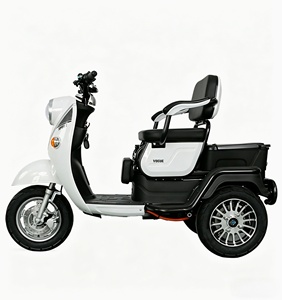 Tricicli Elettrici in Acciaio di Alta Qualità Cinesi, Design Originale per Tutti, per Trasporto Merci e Passeggeri - Product Image 2