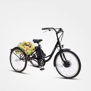 Triciclo de Cuerpo Abierto de 24 Pulgadas para Entrega de Alimentos Familiar con Motor de 250W, Batería de Litio de 36V 13Ah, Neumático Grueso de 20 Pulgadas, Bicicleta Eléctrica en Oferta - Product Image 3