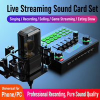 Kit de production de podcast V9SJ, console audio avec micro de studio, mixeur DJ, effets vocaux pour studio domestique USB 5.0