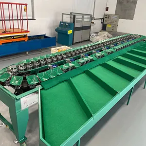 Hochwertige Obstgewichtungsortierer-Sortiermaschine Drachen-Kiwi-Fruchtsortierer-Sortiermaschine mit Gewicht