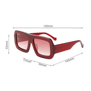 نظارات شمسية مخصصة للجنسين بتصميم مربع كبير الحجم <span class=keywords><strong>2026</strong></span>، نظارات شمسية مصممة للنساء من الأسيتات - Product Image 5