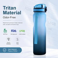 Bouteille infuseur en plastique Tritan 32oz sans BPA, transparente comme du cristal, pour infusion de fruits, camping, écologique, avec couvercle à ouverture rapide, logo personnalisé, OEM