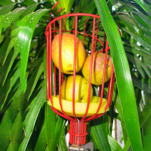 カスタマイズ可能 果物収穫器 伸縮ポールツール りんご オレンジ レモン 洋梨 マンゴー ピッカー - Product Image 3