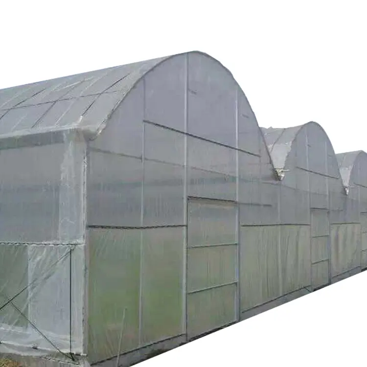 Green House Agricultural Multi-Span Film Greenhouses With Tomato/Strawberry Hydroponic Grow System For Sale