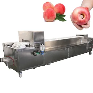 Automatic Apple Peeling Core Removing And Cutting Machine