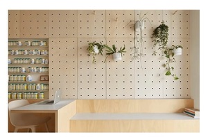 Contrachapado de Abedul Báltico de 3 mm, 5 mm, 9 mm, 12 mm, 15 mm, 18 mm con Cara de Chapa de Abedul para Aplicaciones de Taller - Product Image 4