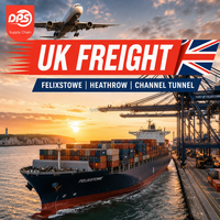 Transitaire aérien prioritaire DPS Logistics pour FBA, de Chine au Royaume-Uni, DDP porte-à-porte, agent de fret