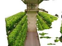 Grande Ferme Conteneurisée Intelligente à Éclairage LED Complet, Système de Culture Verticale Hydroponique de Fraises avec Contrôle Climatique, Usine de Culture