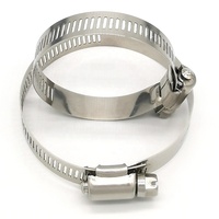 Customizable OEM Automotive Fasteners 304 316 201 Stainless Steel Worm Drive Hose Clamp Clips and Hose Clip