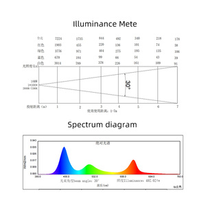 Luz <span class=keywords><strong>de</strong></span> Escenario <span class=keywords><strong>de</strong></span> Alta Luminosidad 4 en 1, LED COB <span class=keywords><strong>de</strong></span> Alto Brillo para Eventos y Espectáculos, <span class=keywords><strong>Precio</strong></span> <span class=keywords><strong>de</strong></span> Mayoreo <span class=keywords><strong>de</strong></span> Fábrica - Product Image 5