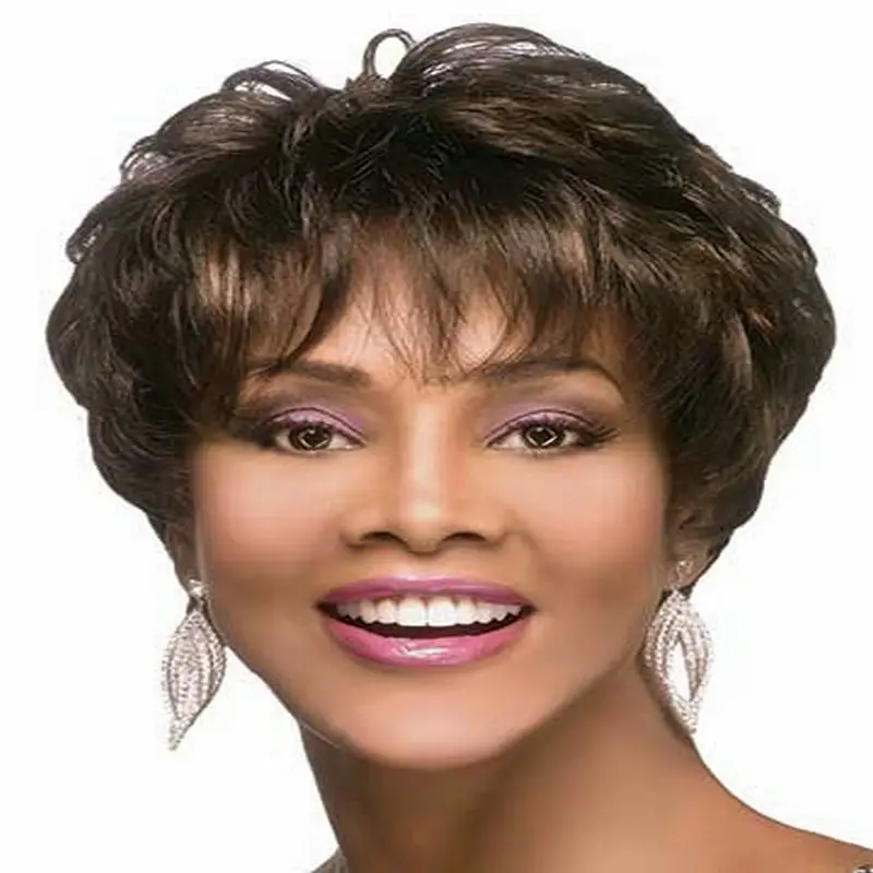Short Afro Kinky Curly Synthetic Hair Wig For Black Women Fluffy Brown Wigs African American Heat Resistant Synthetic Wig