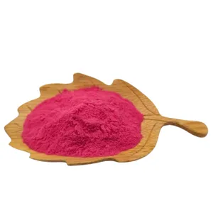Wholesale Price Freeze Dried Red Dragon Fruit Powder Bulk Pink Pitaya Powder