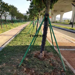 Horticultural Fiberglass Pipes, Fiberglass Agricultural Support <b>Poles</b>, Tree Support <b>Poles</b> - Product Image 4