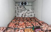 Jingu Walk in Cooler Congélateur Combo Chambre de stockage froide Refroidissement des aliments à différentes températures
