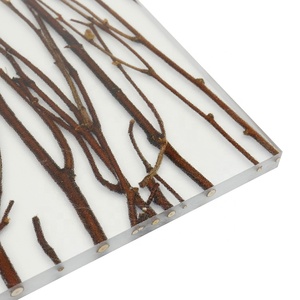 Mô Hình Màu Acrylic Tấm Tường Panels Bán Buôn Trang Trí Acrylic 1 Tấm 4 Năm Transtones Cut-To-Size ISO, CE 3-50Mm - Product Image 1