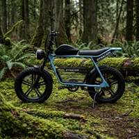 Bicicleta Eléctrica Todoterreno con Llantas Anchas y Batería Extraíble, Bicicleta Eléctrica Vintage de Doble Asiento para Senderos de Montaña y Caminos de Tierra