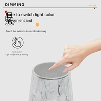 Lampe de table Offre Spéciale colorée rechargeable à télécommande led en cristal rose