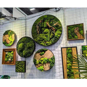 Rêu trang trí bất tự nhiên rêu tường nghệ thuật khung tự nhiên rêu tường nghệ thuật khung cho văn phòng nhà trang trí nội thất - Product Image 2