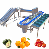 Fruit- en groenteweeg- en sorteermachine, PLC-gestuurd, hoge capaciteit, aanpasbaar, merk Kehong, model KHLH-6J, 220V, 0.75kW
