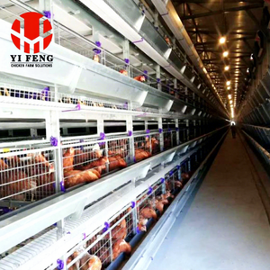 Lồng nuôi gà công nghiệp kiểu H hiệu suất cao, thiết kế mô-đun mở rộng được, dành cho gà đẻ trứng - Product Image 5