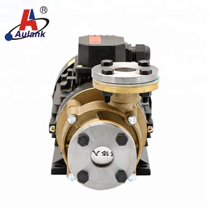 ปั๊มน้ำมันทนความร้อนสูง 220V - Product Image 2