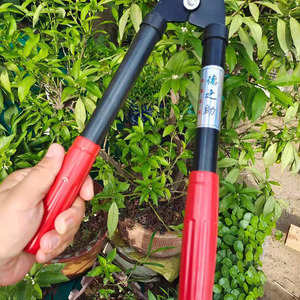 Sécateur Tokunosuke 45-60 cm en acier à haute teneur en carbone, tête droite, noir, outil de jardinage pour la taille des arbres - Product Image 2