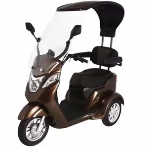 Shed Roof Scooter electric mobility scooter 4-wheel elderly Scooter