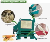 Commerciële Twee-Hand Suikerrietsap Extractor Crusher Machine Met Motor Motor Voor Fruitverwerking