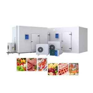 Hello River Brand China Supplier ice storage freezer cold room commercial walk in fridge refrigerator storage for chicken