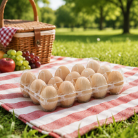 Boîte de rangement pour œufs de réfrigérateur, 15 compartiments, en PET transparent, support de plateau à œufs, carton de protection, empilable, qualité alimentaire, organisateur de cuisine