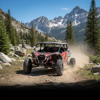 Mini buggy tout-terrain professionnel 1500cc 4 temps à essence, 4 roues, 4 places, 2WD/4WD, capacité de montée en montagne supérieure, pour l'extérieur