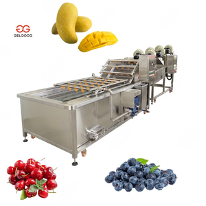 Machine de lavage, triage, calibrage et emballage de cerises à haute capacité, machines de lavage, séchage et triage de pommes au Liban - Product Image 1