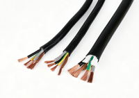 Câble d'alimentation en cuivre souple Shibei RVV 2 conducteurs, isolé et gainé en PVC, indice de protection IP40, 300V/450V, pour installations électriques intérieures de bâtiments