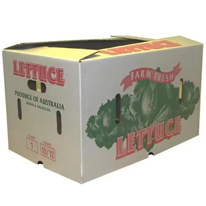 Tùy chỉnh A4 carton sóng sáp hộp thư trái cây và rau bao bì-Giao hàng trái cây hộp carton nhà sản xuất - Product Image 3