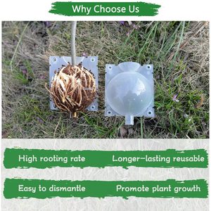 Small Size 5cm Diameter Rooting <strong>Propogation</strong> Plant Rooting Ball Grafting Rooting Growing Box - Product Image 2