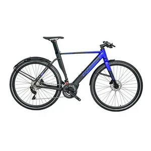 Moteur sans balais en aluminium léger de haute qualité, vitesse de 25 km/h, 250/500W, batterie au lithium 36/48V, 25 km/h - Product Image 4