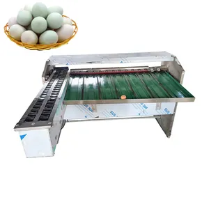 Fournisseurs d'équipements de classement des œufs d'occasion Niveleuse automatique d'œufs Petite machine de classement des œufs