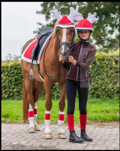 Meilleures ventes Bottes de brossage de chevaux équestres de Noël d'hiver personnalisées pour l'entraînement et l'équitation - Product Image 5