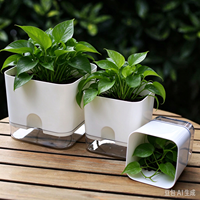 Pot à orchidées en PP blanc transparent, texture géométrique, léger, durable, écologique, biodégradable, pour intérieur/extérieur, grand modèle