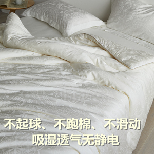 Light Luxury 55% Soybean Fiber <b>Quilt</b> Thickened Warm All Cotton Autumn Winter <b>Quilt</b> Core <b>Single</b> Cotton <b>Quilt</b> For Home Use - Product Image 4