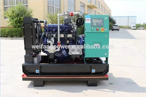 공장 직접 판매 개방형 또는 침묵하는 유형 40kw 바이오 천연 가스 발전기 세트 - Product Image 2