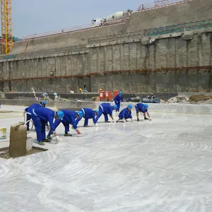 Полиуретановая водостойкая краска CANLON, полиуретановая жидкость, применяемая мембрана, сертифицированная CE/REACH, на основе растворителя MPU