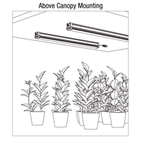 200W PRO LED élèvent des lumières au-dessus de l'auvent IP65 pour une utilisation intérieure corps en aluminium émettant la croissance de la floraison des plantes à spectre rouge vert et blanc