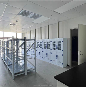 Gabinete de Almacenamiento de Ácidos Metálico de Diseño Moderno para Escuelas, Hospitales, Laboratorios de Física y Laboratorios - Product Image 4
