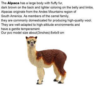 Modelli di Animali Sudamericani: Pappagallo, Armadillo, Alpaca, Tapir, Rana Avvelenata, Orso Martello, Giocattoli in Plastica - Product Image 4